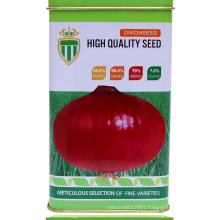 Hot sale 2019 harvest quality Chinese vegetable hybrid red onion seeds